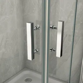 Cabine de douche double porte pliante Duo Flex Crystal 8mm transparent