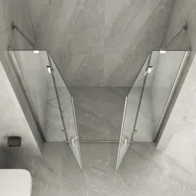 Porte de Douche Double Articulée Transparente 8mm H195 AMANDA