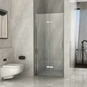 Porte de douche livre transparente moderne 8mm H195 Flex