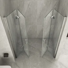 Porte de douche double pliante transparente moderne 8mm H195 Flex