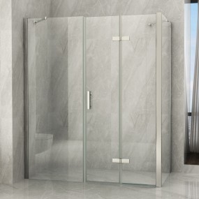 2-seitige Dusche mit transparenter Buchöffnung 8mm H195 FLEX Maxi