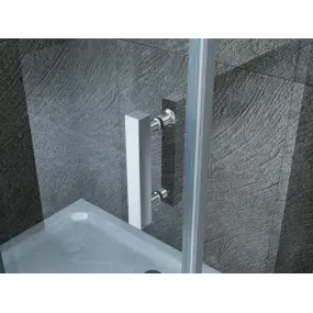 2-seitige Dusche mit transparenter Buchöffnung 8mm H195 FLEX Maxi