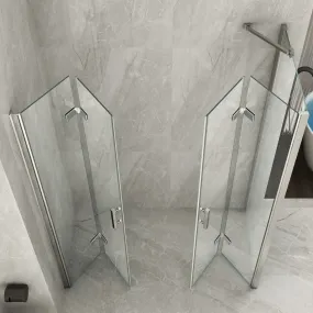 2-seitige Dusche mit transparenter Buchöffnung 8mm H195 FLEX Maxi