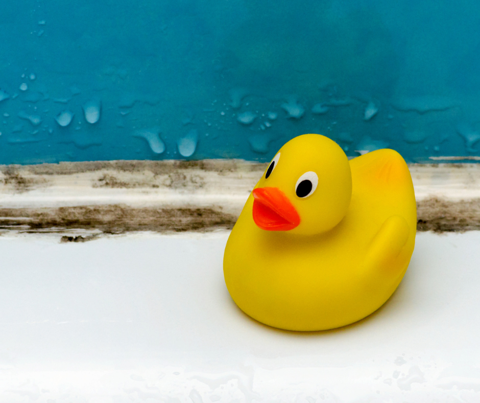 muffa che si è creata tra il piatto doccia e le piastrelle